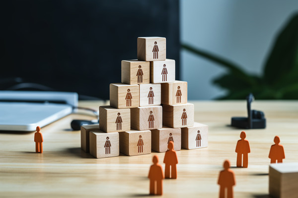 強化集團管控：財務(wù)，人力資源，信息技術(shù)的整合