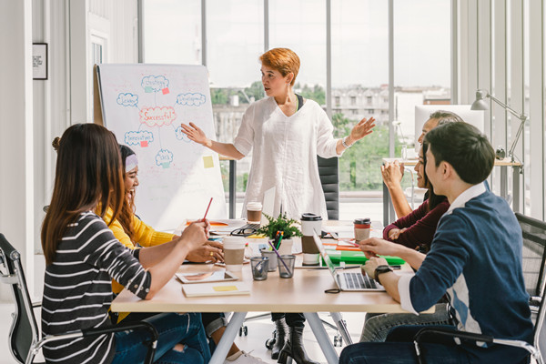 集團管控中的組織結構優(yōu)化：原則、方法與實踐