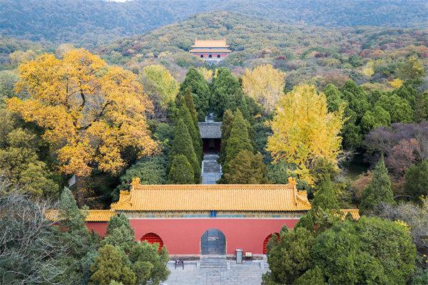 集團與子公司管控失衡，南京集團管控咨詢公司如何重塑協同體系？