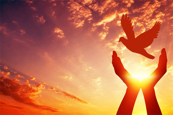 別讓盲卡盲盒“收割”孩子，關聯企業戰略怎么看？