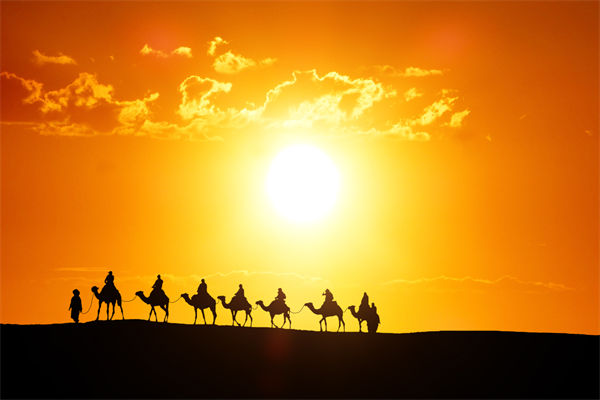 高層標榜的企業(yè)文化，如何穿透形式真正落地生根？