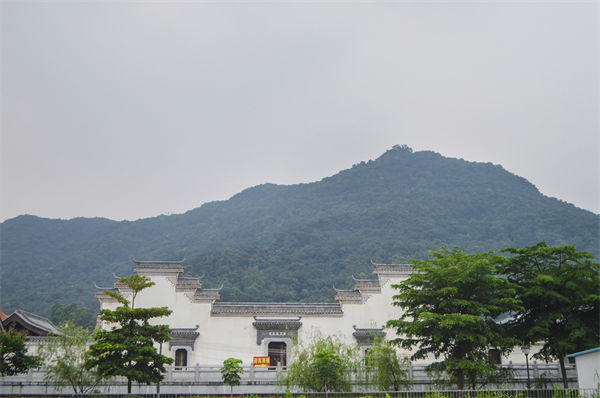 子公司各自為戰內耗大，佛山集團管控咨詢公司有何整合之道？