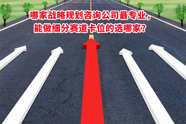 哪家戰略規劃咨詢公司最專業，能做細分賽道卡位的選哪家？